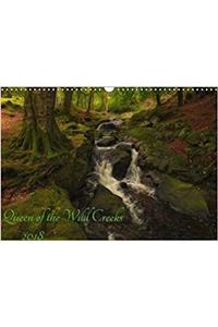 Queen of the Wild Creeks 2018