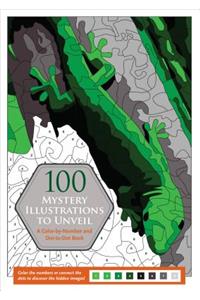 100 Mystery Illustrations to Unveil