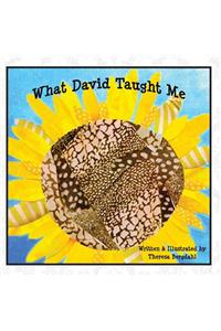 What David Taught Me