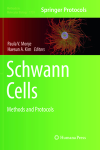 Schwann Cells