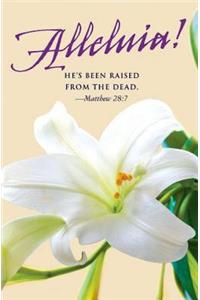 He's Been Raised Lilies Easter Bulletin (Pkg of 50)