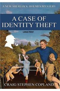 Case if Identity Theft - Large Print