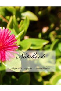 Notebook - Large Size - 100 pages - Nature Collection