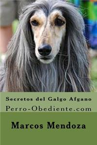 Secretos del Galgo Afgano: Perro-Obediente.com