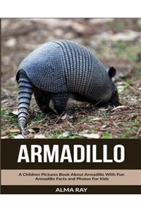 Armadillo