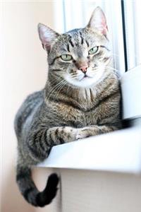 Tabby Cat on a Windowsill Journal