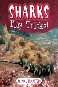 Sharks Play Tricks!