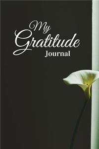 My Gratitude Journal