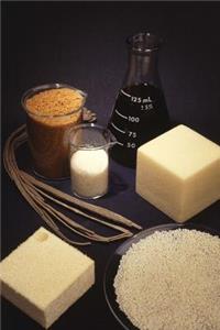 Science Theme Journal Scientific Study Foam Starch Blocks