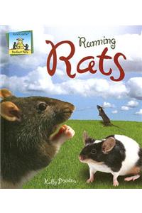 Running Rats