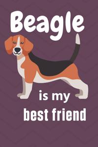 Beagle is my best friend