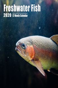 Mini Calendar 2020 Freshwater Fish