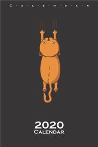 Scratching Cat (hanging at this book) Calendar 2020