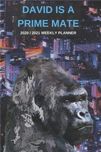 2020 / 2021 Two Year Weekly Planner For David Name - Funny Gorilla Pun Appointment Book Gift - Two-Year Agenda Notebook