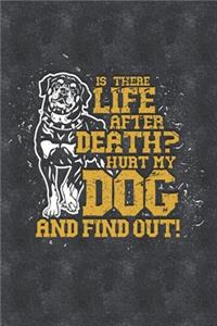 Is There Life After Death Hurt My Dog and Find Out