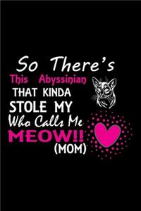So there's this Abyssinian that kinda stole my who calls me meow!! (mom)