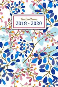 2018 - 2020 Three Year Planner