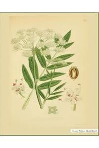 Vintage Nature Sketch Book