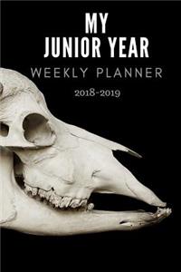 My Junior Year Weekly Planner