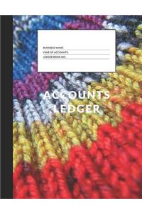 Accounts Ledger