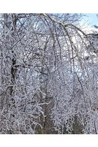 Winter School Composition Book Scenic Forest Ice Storm 130 Pages