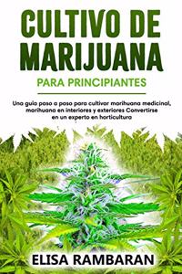 Cultivo de marijuana Para principiantes