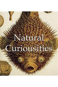 Natural Curiousities