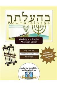 Bar/Bat Mitzvah Survival Guides