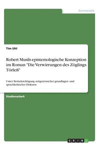Robert Musils epistemologische Konzeption im Roman 
