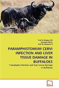Paramphistomum Cervi Infection and Liver Tissue Damage in Buffaloes