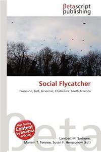 Social Flycatcher
