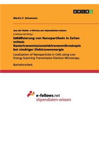 Lokalisierung von Nanopartikeln in Zellen mittels Rastertransmissionselektronenmikroskopie bei niedriger Elektronenenergie