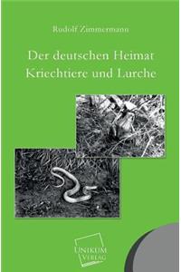 Deutschen Heimat Kriechtiere Und Lurche