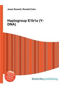 Haplogroup E1b1a (Y-Dna)