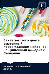 Закат желтого цвета, вызванный повреждени