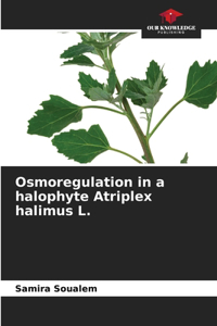 Osmoregulation in a halophyte Atriplex halimus L.