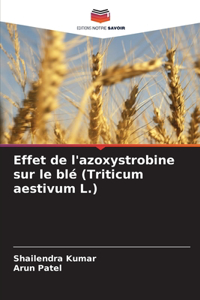 Effet de l'azoxystrobine sur le blé (Triticum aestivum L.)