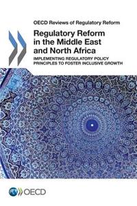 Regulatory Reform in the Middle East and North Africa