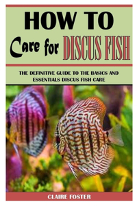 How to Care for Discus Fish