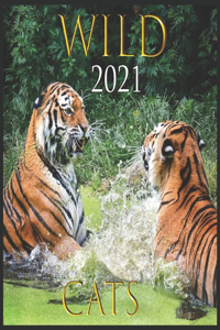 2021 WILD Cats