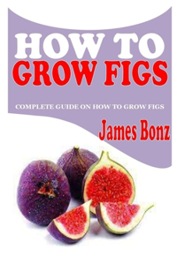 How to Grow Figs