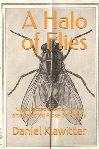 Halo of Flies