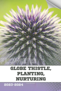 Globe Thistle, Planting, Nurturing