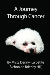 Journey Through Cancer