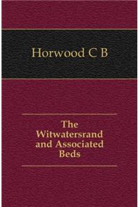 The Witwatersrand and Associated Beds
