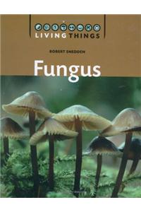 Fungus