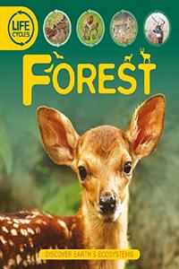 Life Cycles: Forest