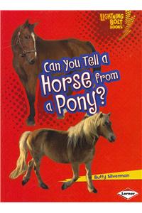 Can You Tell a Horse from a Pony