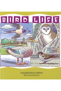 Bird Life