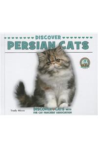 Discover Persian Cats